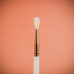 44-Brush
