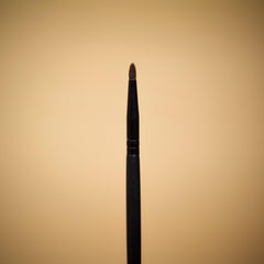 M12-Brush