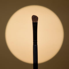 M14-Brush