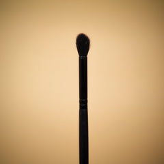 M9-Brush